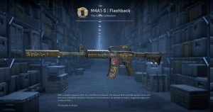 M4A1-S | Flashback (Minimal Wear) Screenshot
