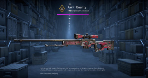 AWP | Duality (Minimal Wear) Screenshot