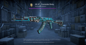 AK-47 | Frontside Misty (Well-Worn) Screenshot