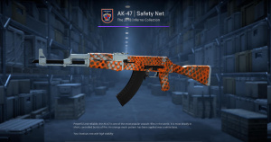 AK-47 | Safety Net (Factory New) Screenshot