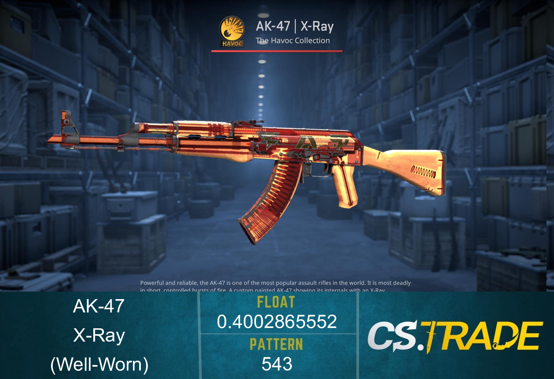 AK-47 | X-Ray (Well-Worn) Screenshot