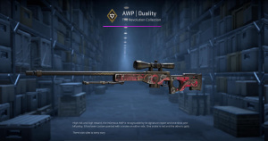 AWP | Duality (Field-Tested) Screenshot