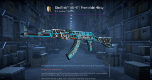 StatTrak™ AK-47 | Frontside Misty (Field-Tested) Screenshot