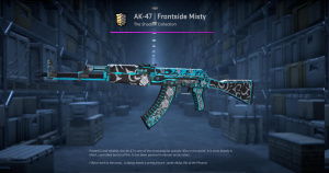 AK-47 | Frontside Misty (Well-Worn) Screenshot